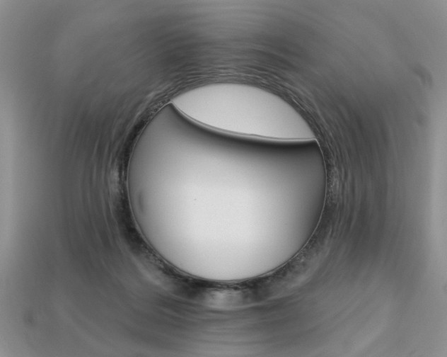 X0000113740220200909230952