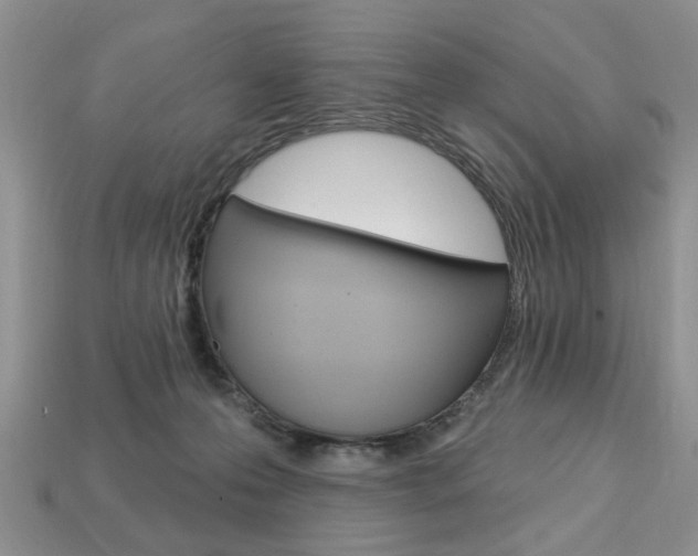 X0000113740223200909230952
