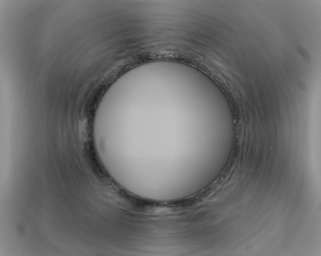 X0000113740224200909230952