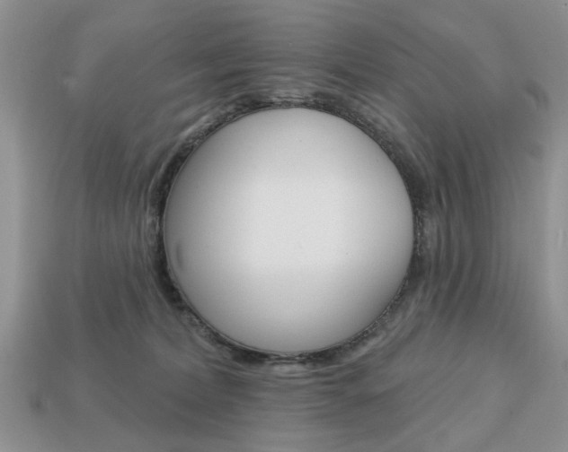 X0000113740228200909230952