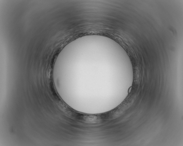 X0000113740230200909230952