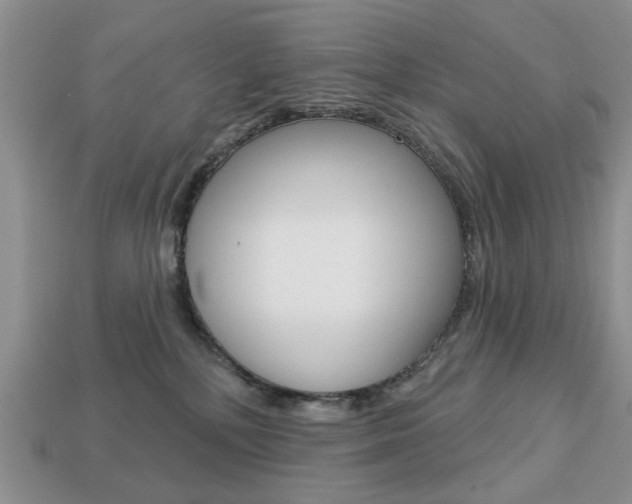 X0000113740232200909230952