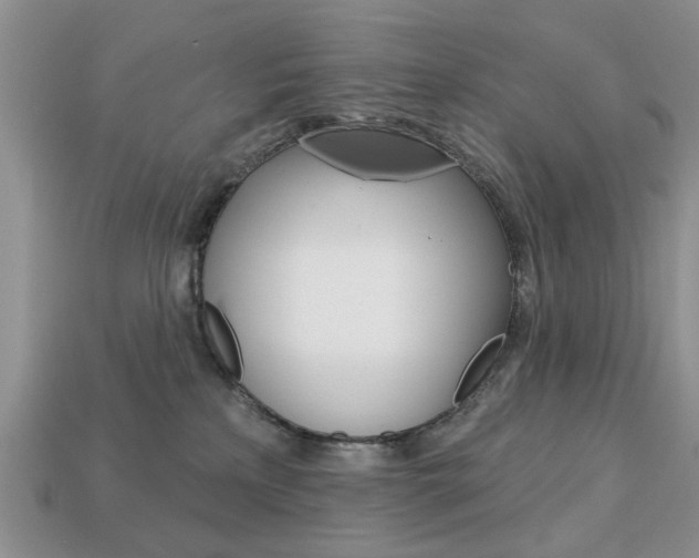 X0000113740233200909230952
