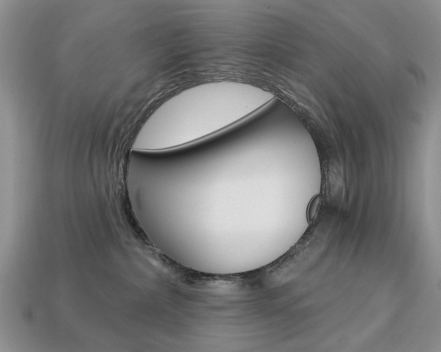 X0000113740236200909230952