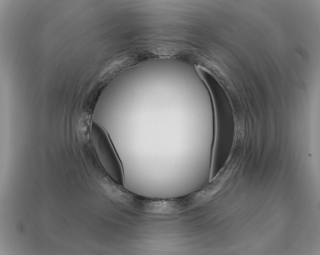 X0000113740237200909230952