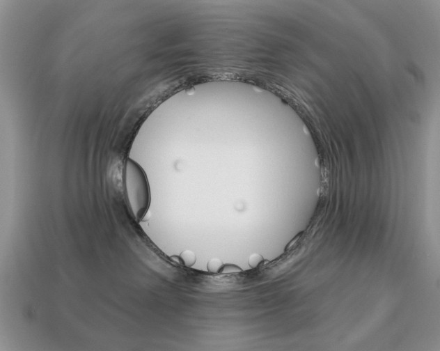 X0000113740238200909230952