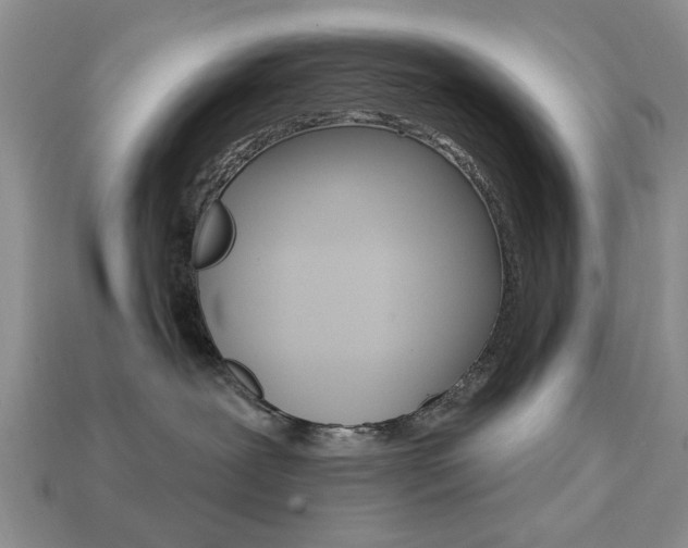 X0000113740239200909230952