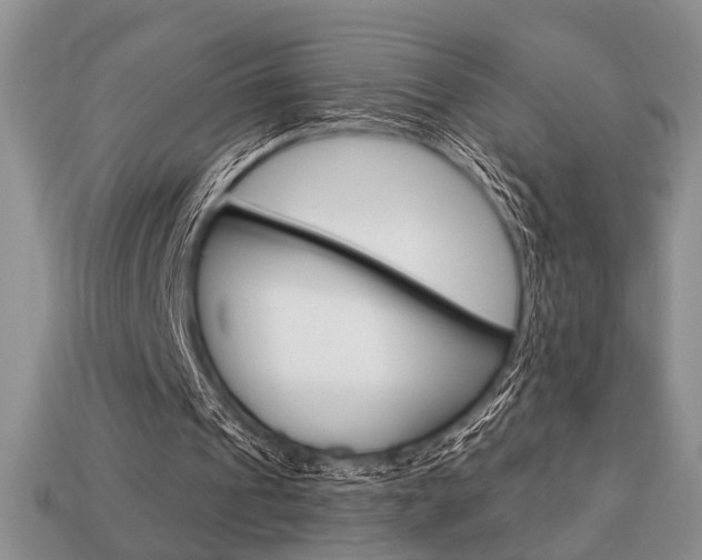 X0000113740241200909230951