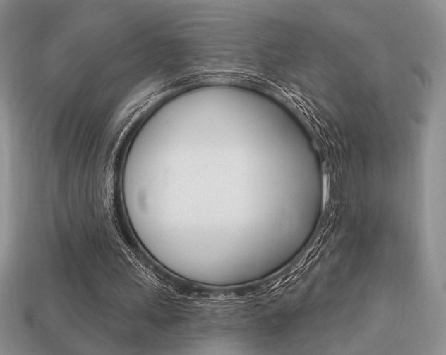 X0000113740243200909230951