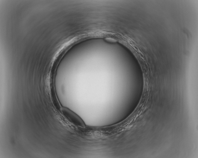 X0000113740244200909230951