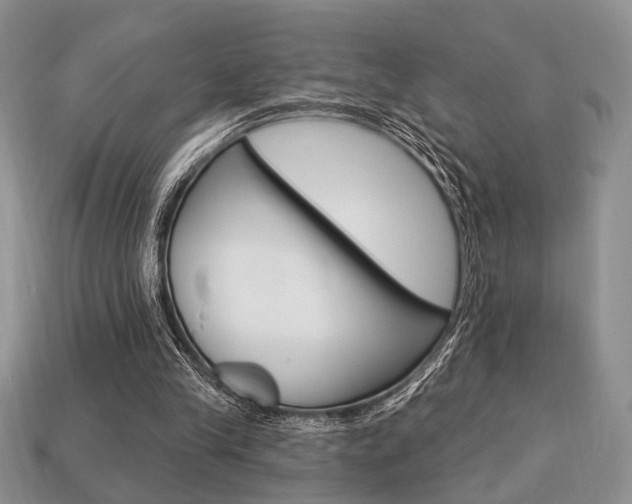 X0000113740245200909230951