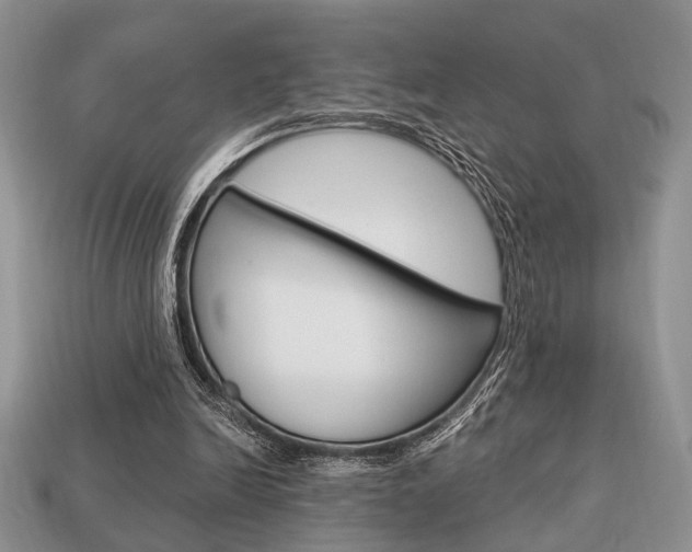 X0000113740246200909230951