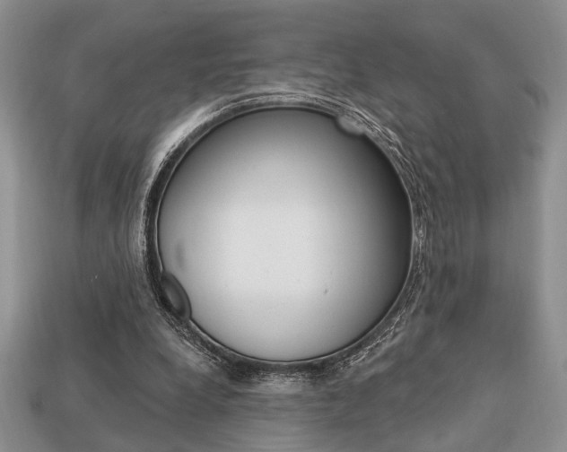 X0000113740248200909230951