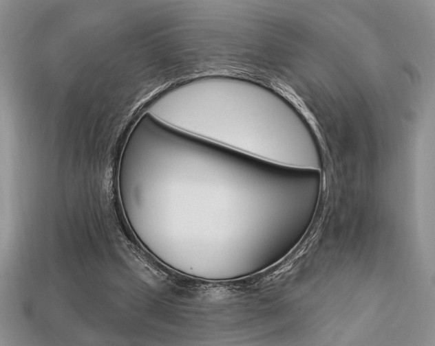 X0000113740249200909230951