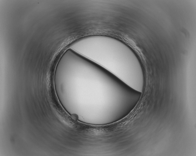 X0000113740250200909230951