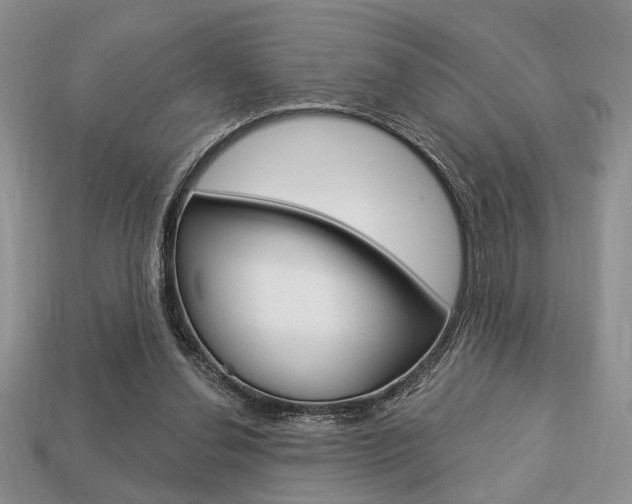 X0000113740252200909230951
