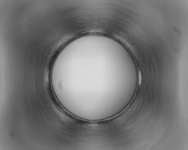X0000113740253200909230951