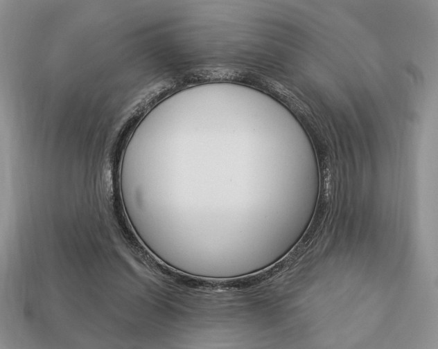 X0000113740254200909230951