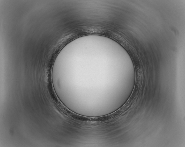 X0000113740255200909230951