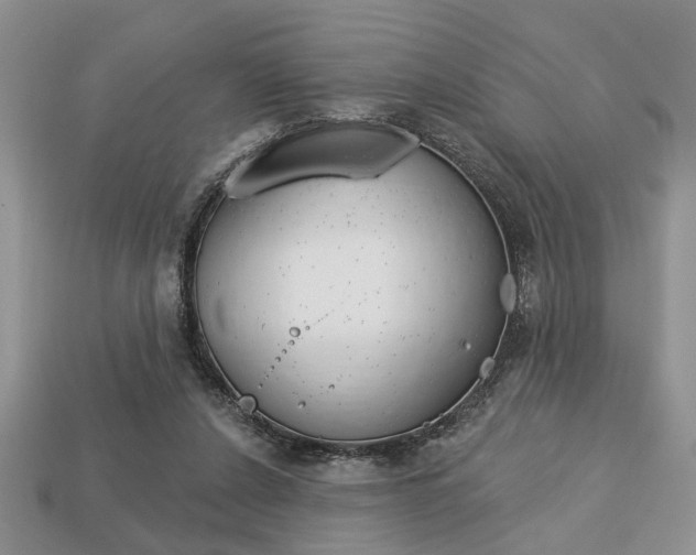 X0000113740256200909230951
