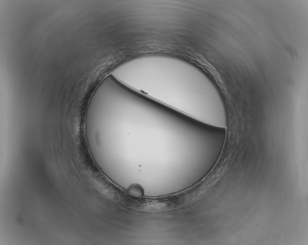 X0000113740257200909230951