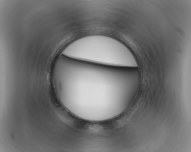 X0000113740258200909230951