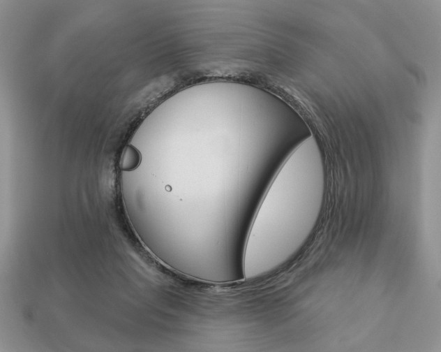 X0000113740261200909230951