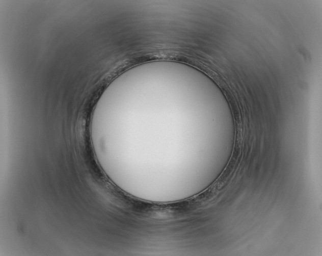X0000113740263200909230951