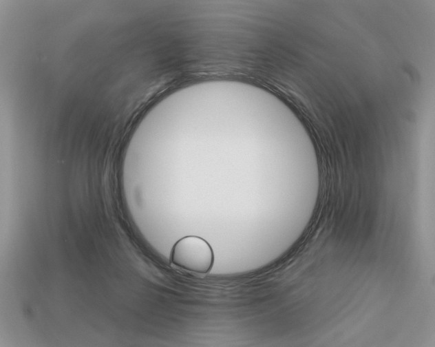X0000113740264200909230951