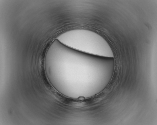 X0000113740266200909230952
