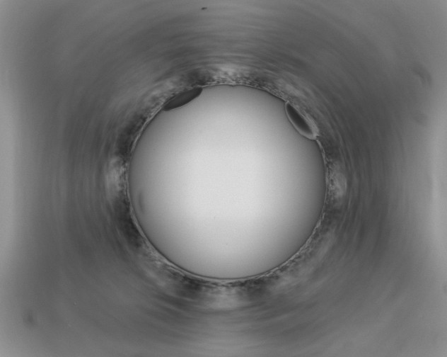 X0000113740276200909230952