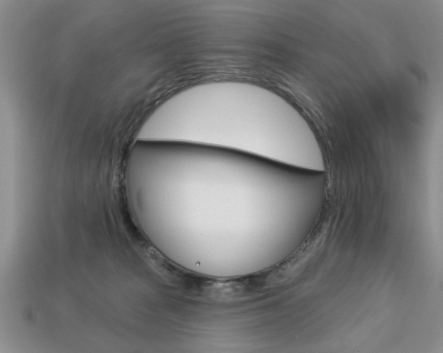 X0000113740277200909230952