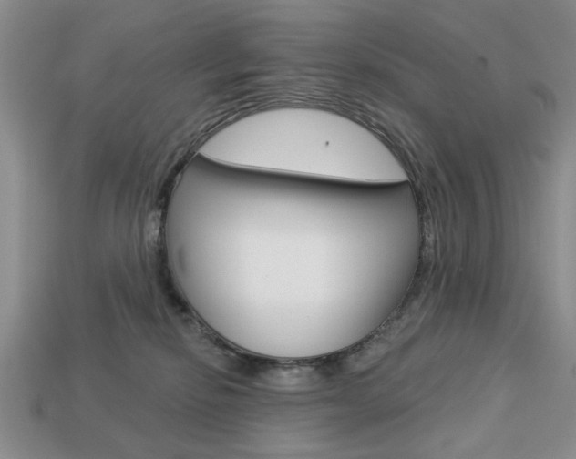 X0000113740278200909230952