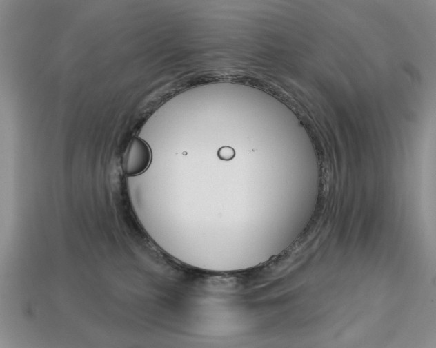 X0000113740279200909230952
