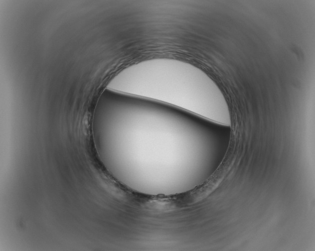 X0000113740280200909230952