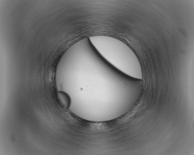 X0000113740281200909230952