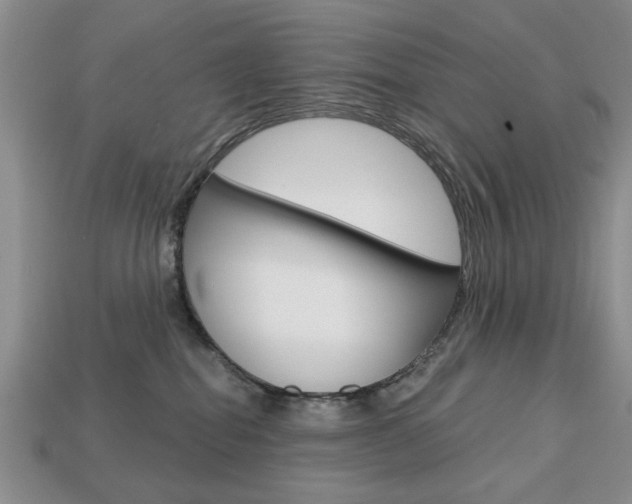 X0000113740282200909230952