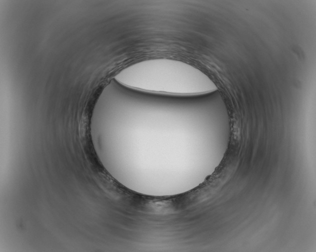 X0000113740283200909230952
