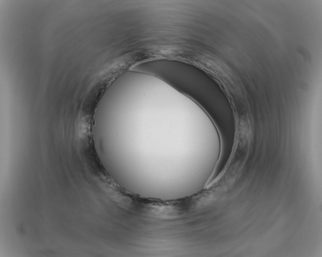 X0000113740284200909230952