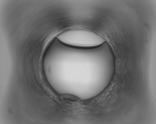 X0000113740289200909230951
