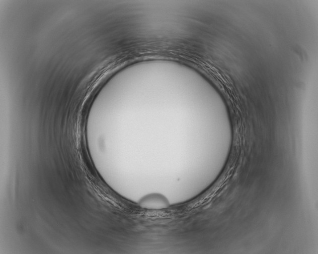 X0000113740290200909230951