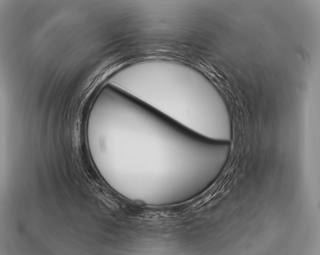 X0000113740291200909230951
