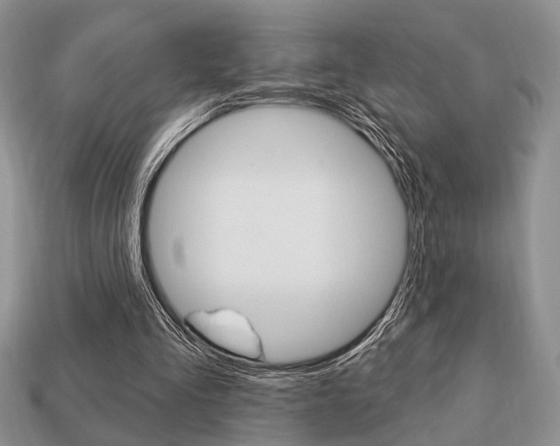 X0000113740293200909230951