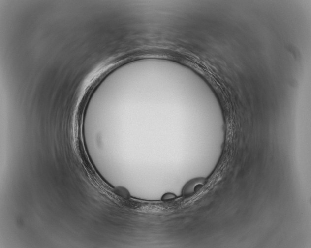 X0000113740294200909230951