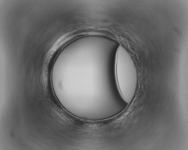 X0000113740295200909230951