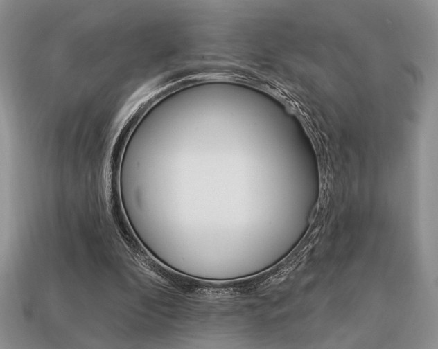 X0000113740296200909230951