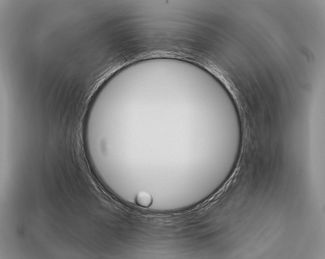 X0000113740297200909230951