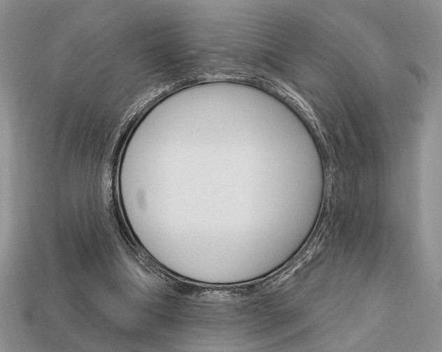 X0000113740298200909230951