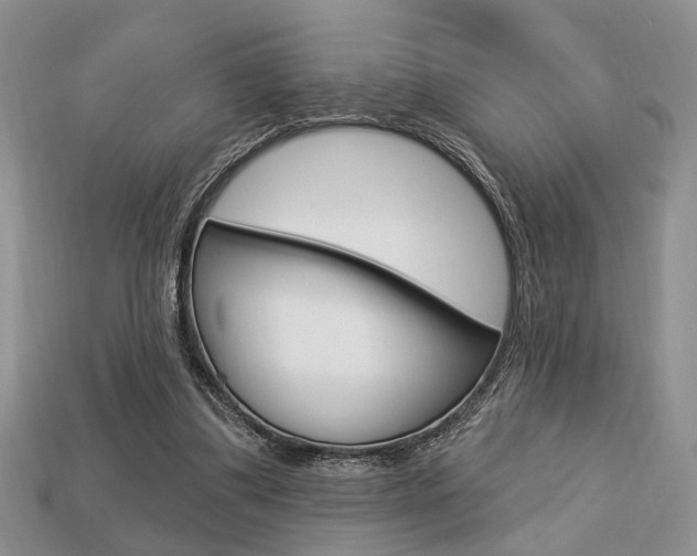 X0000113740299200909230951