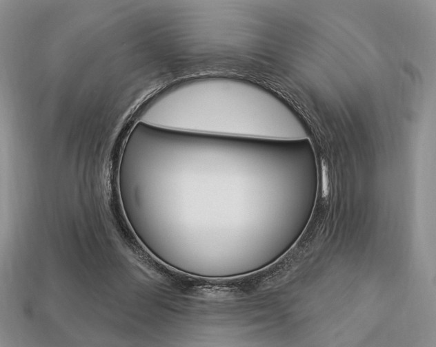 X0000113740300200909230951